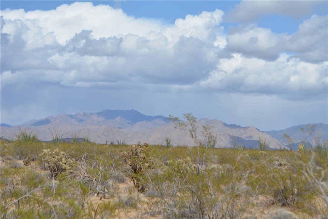 165-166 Cherry Road Yucca, AZ 86438 - Photo 9 of 95 View
