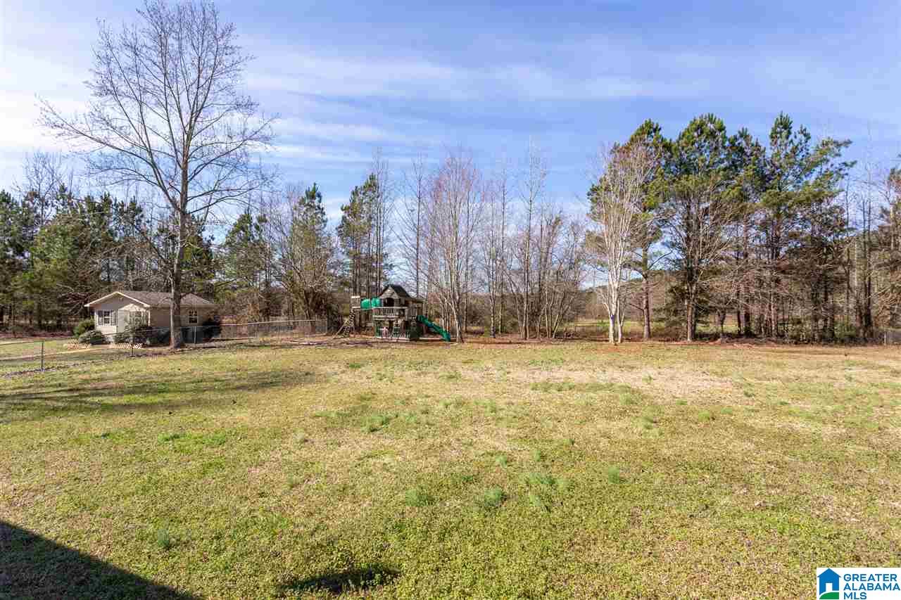 915 Ransome Drive Oneonta, AL 35121 - Photo 29 of 35