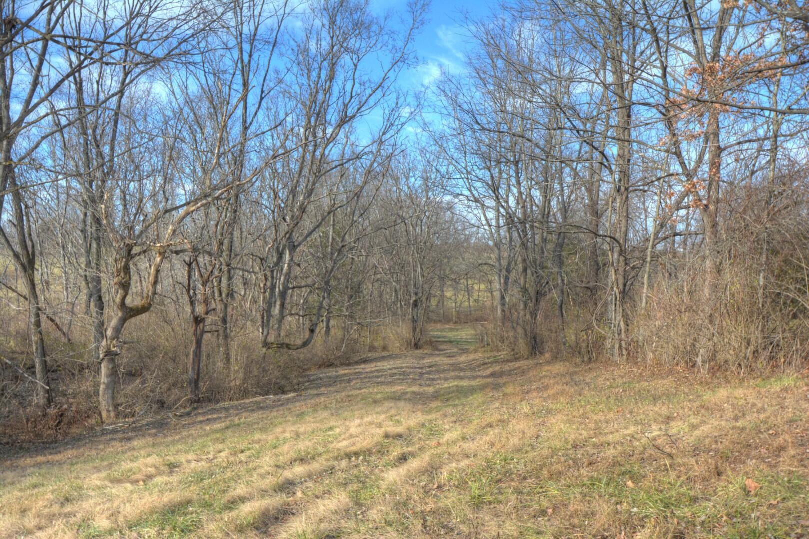 2926 Cummins Ferry Road Versailles, KY 40383 - Photo 18 of 42 Path to back acreage
