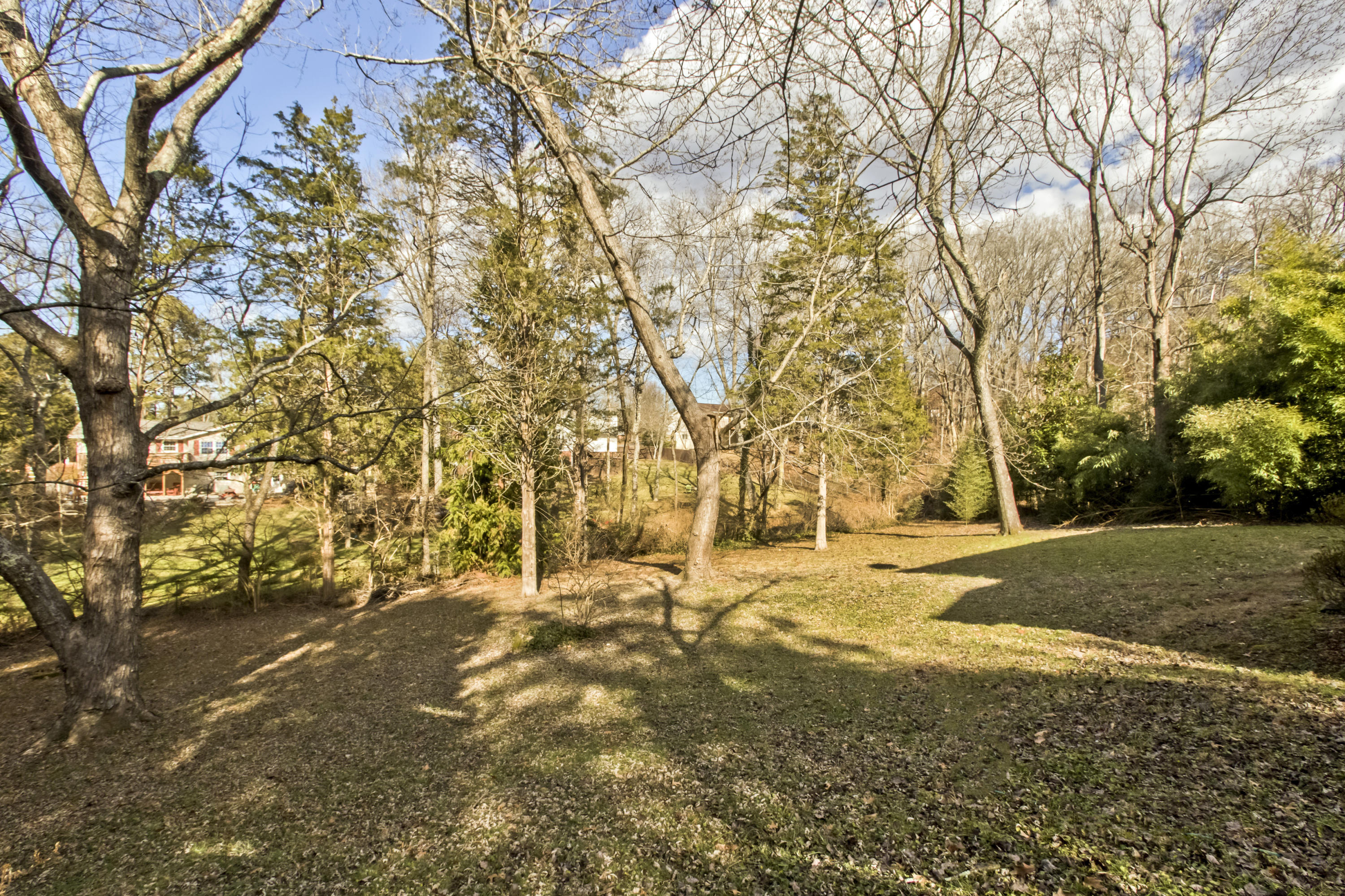 119 Cooper Circle Oak Ridge, TN 37830 - Photo 33 of 34 HUGE YARD