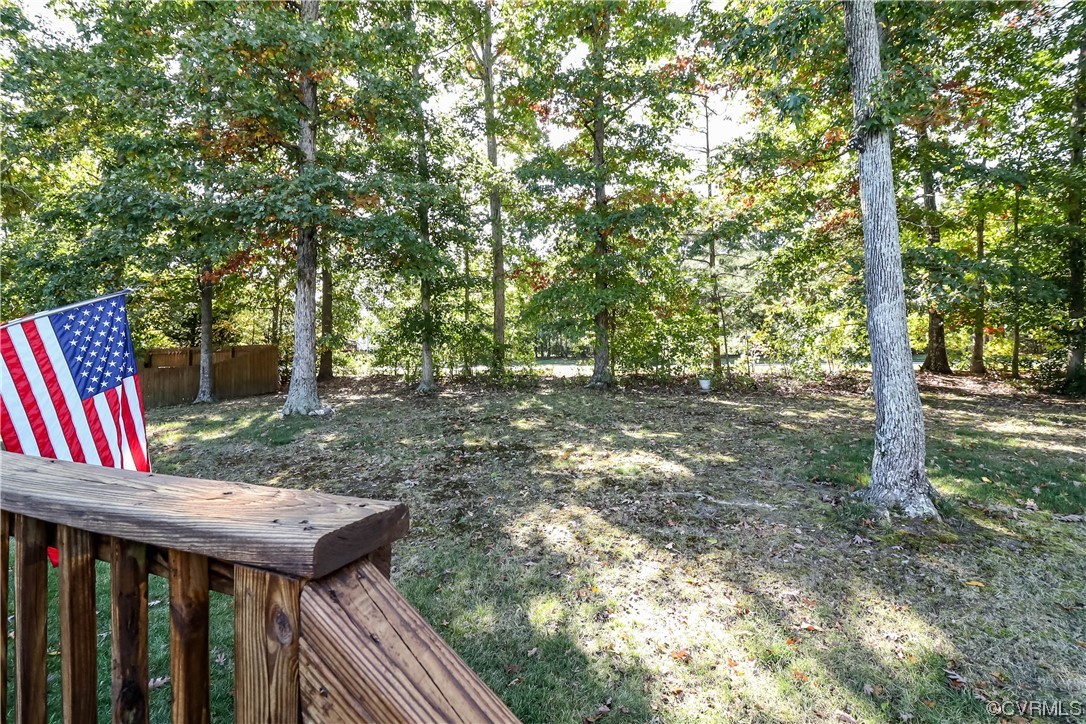 9219 Alcove Grove Road Chesterfield, VA 23832 - Photo 38 of 41 a view of backyard with green space