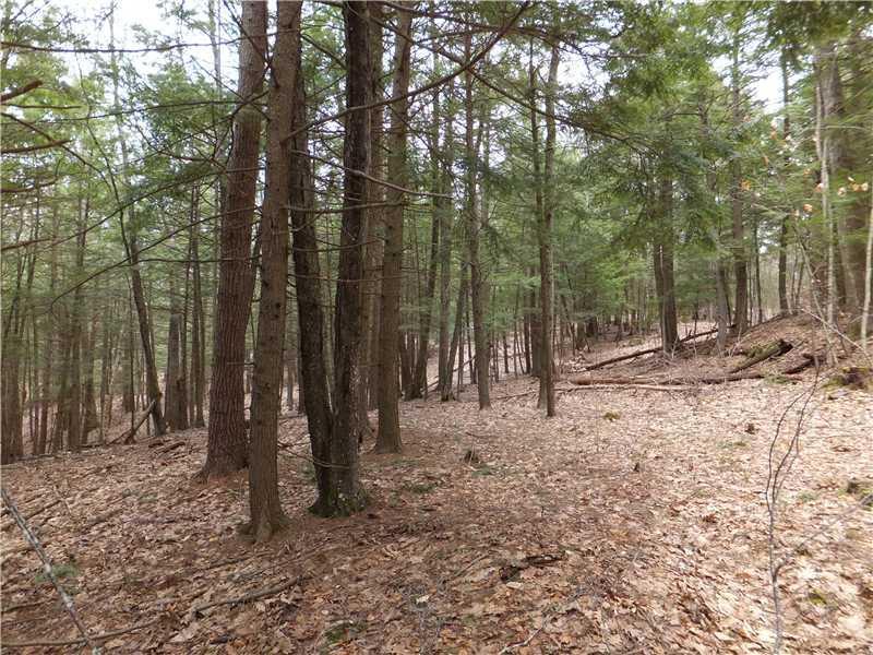 0 Union Falls Road Buxton, ME 04093 - Photo 6 of 12 Land/Lot.