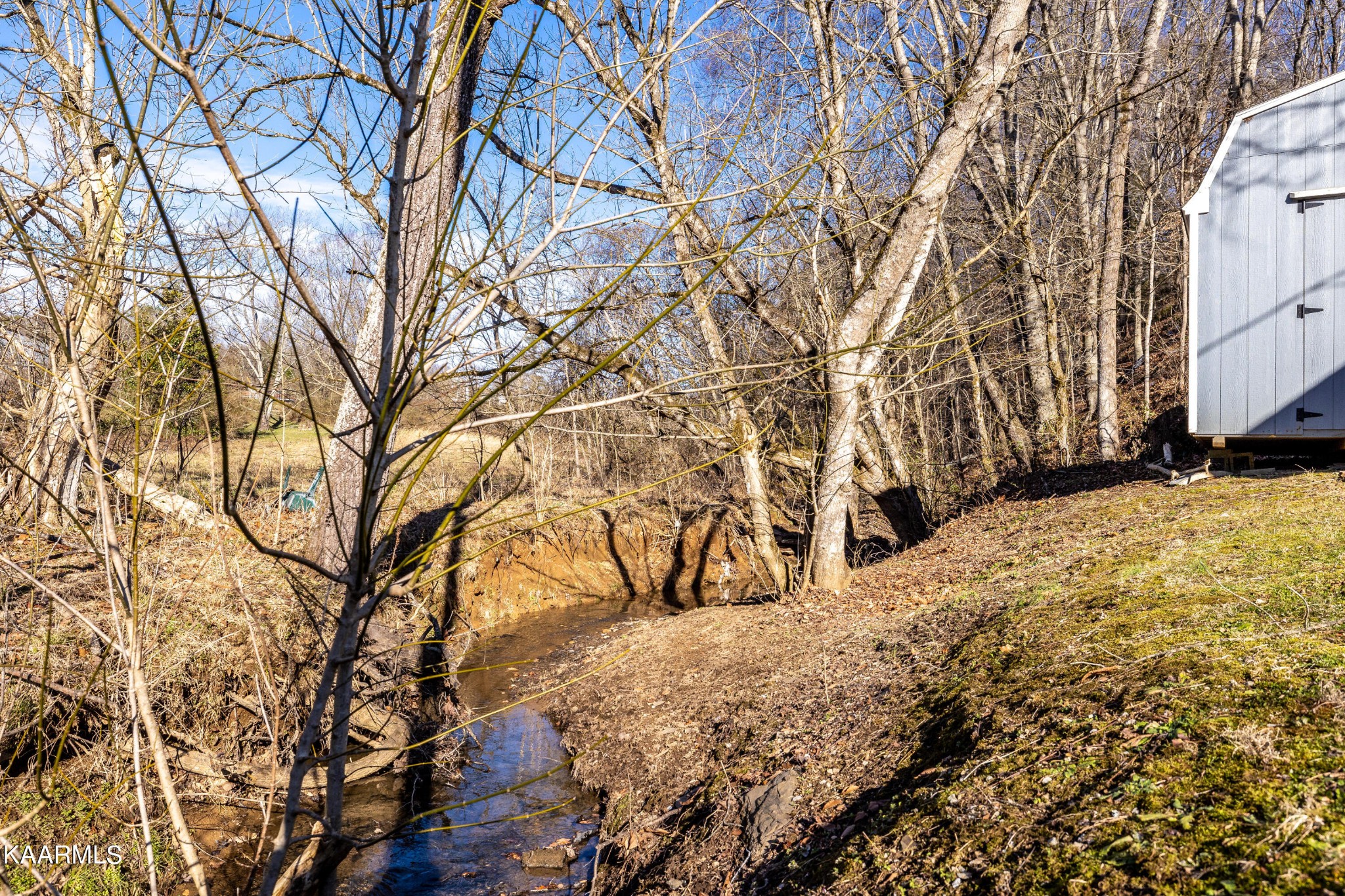 123 Reagan Branch Road Seymour, TN 37865 - Photo 28 of 32 Gallery Image 28