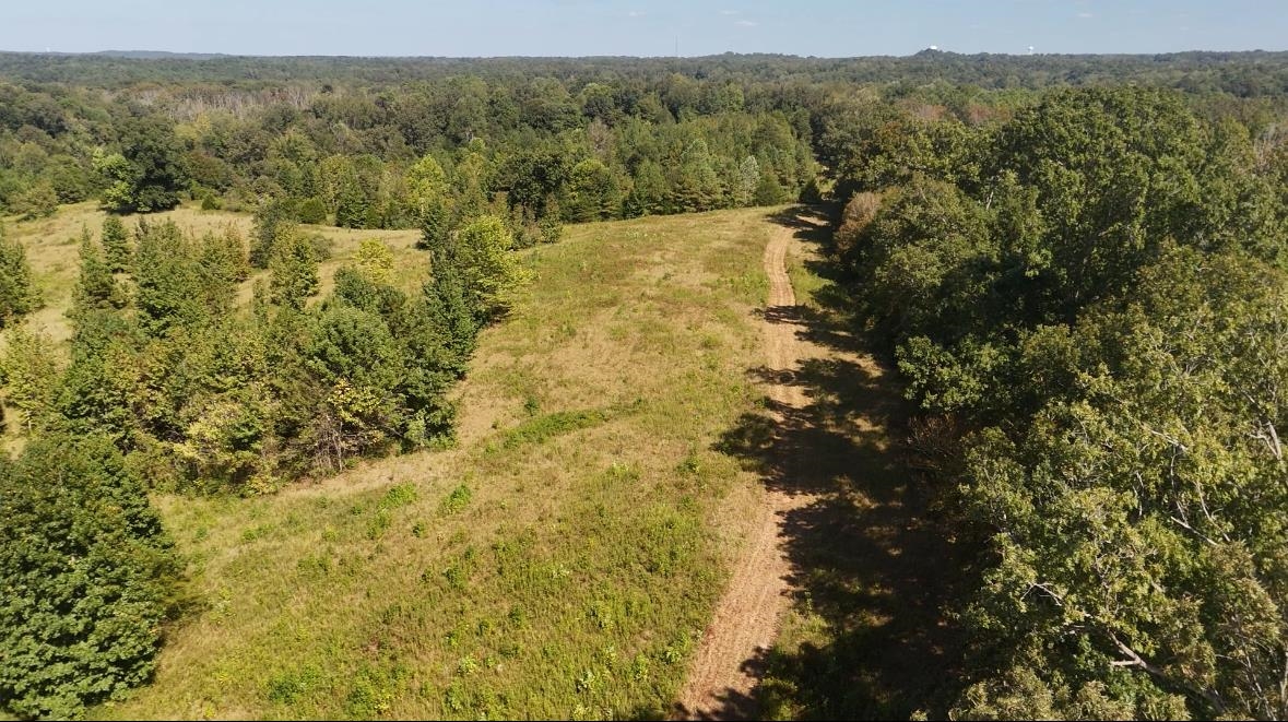 0 Middleburg Road Decaturville, TN 38329 - Photo 27 of 32 Bird's eye view of a heavily wooded area