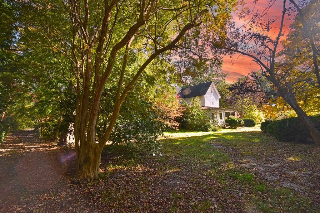 16349 Courthouse Road Eastville, VA 23310 - Photo 3 of 23