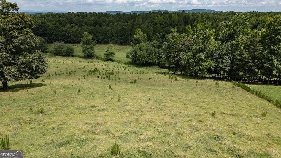 0 County Road 19 Heflin, AL 36264 - Photo 31 of 36
