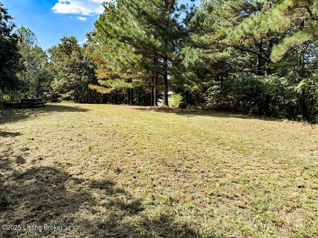 0 Eastview Road Cecilia, KY 42724 - Photo 24 of 35 IMG_6808