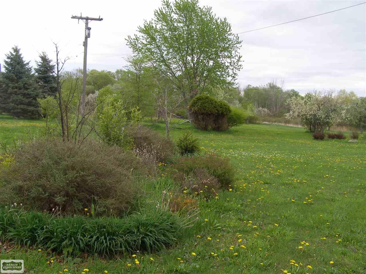 8220 Logana Road Avoca, MI 48006 - Photo 9 of 15 Gallery Image 9