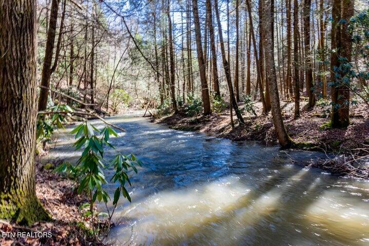 140 Luna Ln Spring Spring City, TN 37381 - Photo 3 of 59 m57