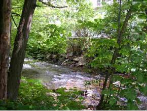 208 Old Mill Road Arlington, VT 05252 - Photo 1 of 1 Gallery Image 1