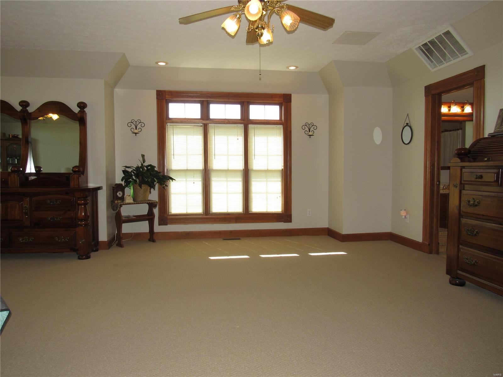 343 East Kane Road Kane, IL 62054 - Photo 37 of 77