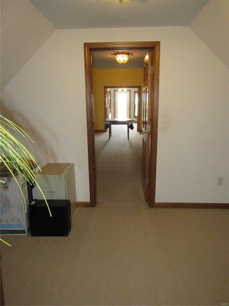343 East Kane Road Kane, IL 62054 - Photo 49 of 77