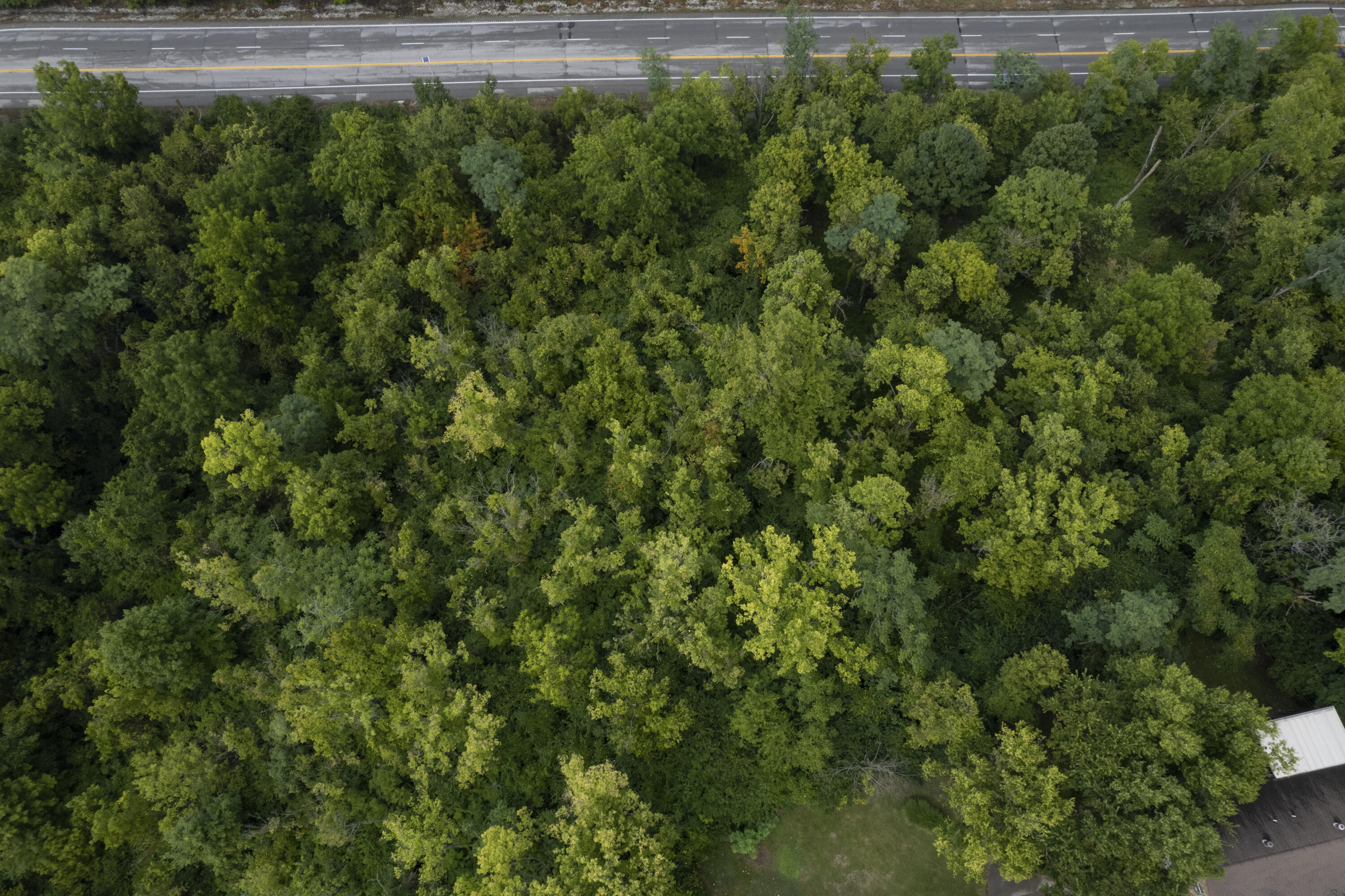 1419 Industrial Road Newport, KY 41076 - Photo 10 of 19