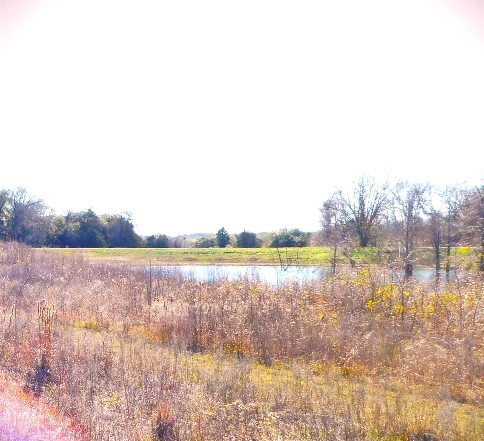 11145 Mt Falls School Road Washington, TX 77880 - Photo 11 of 11 a view of lake with green space