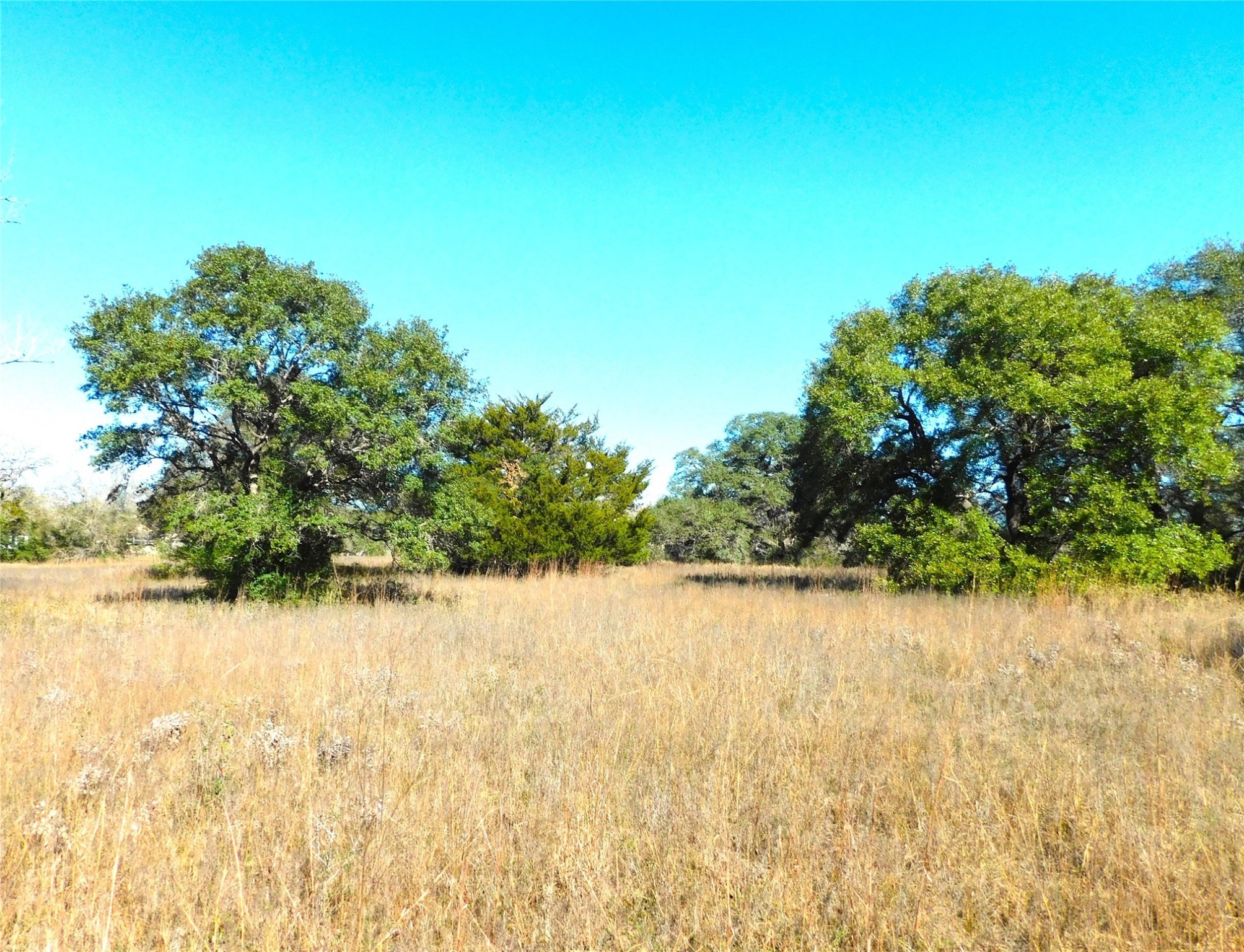 11145 Mt Falls School Road Washington, TX 77880 - Photo 2 of 11 a view of a lake view