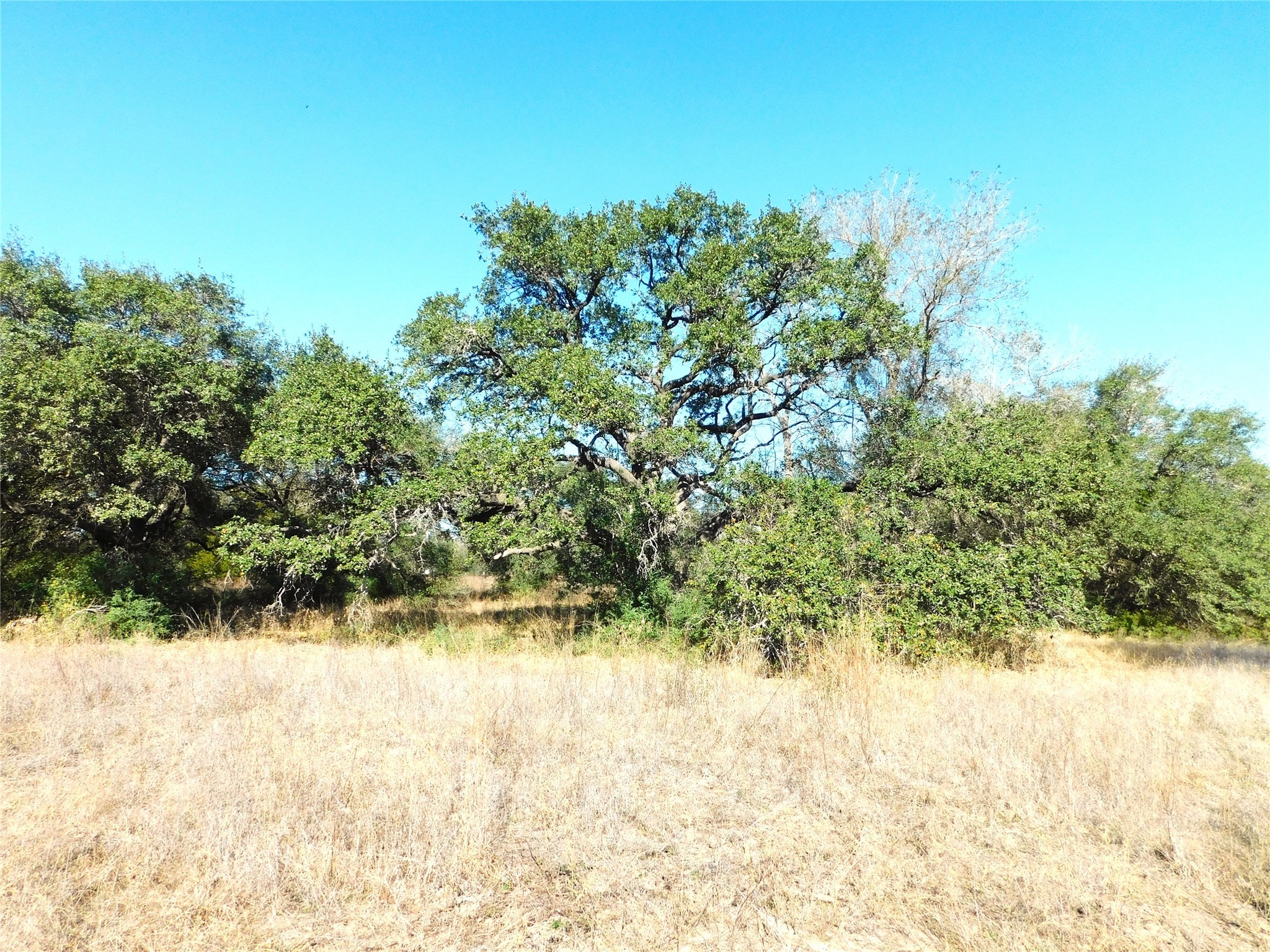 11145 Mt Falls School Road Washington, TX 77880 - Photo 3 of 11 a view of a lake view