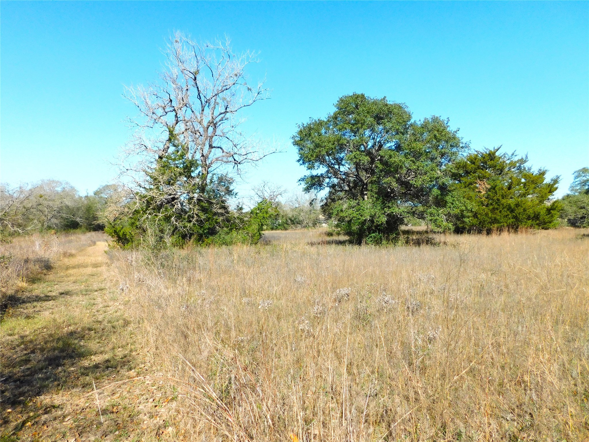 11145 Mt Falls School Road Washington, TX 77880 - Photo 7 of 11 a view of lake view