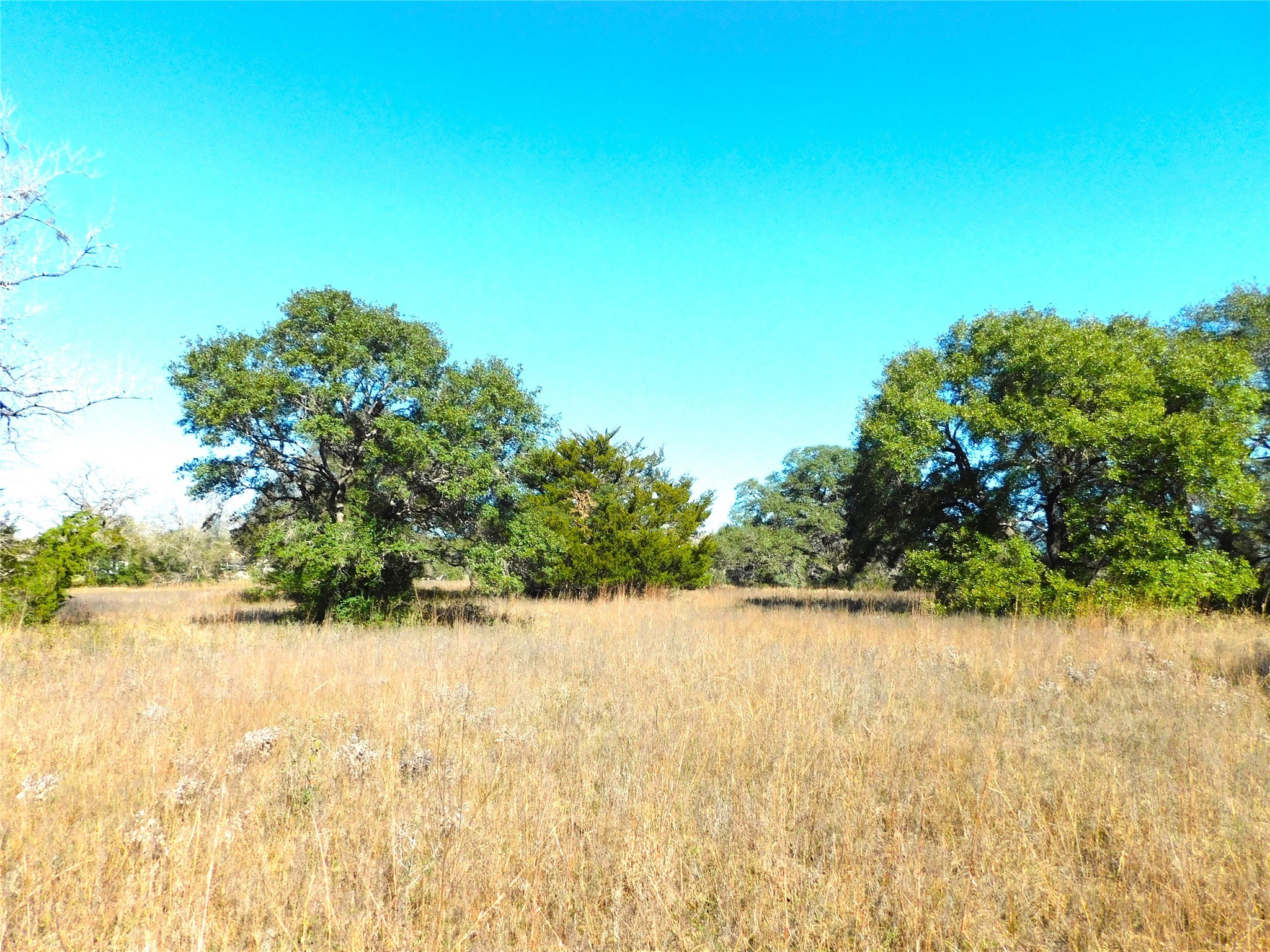 11145 Mt Falls School Road Washington, TX 77880 - Photo 8 of 11 a view of lake view