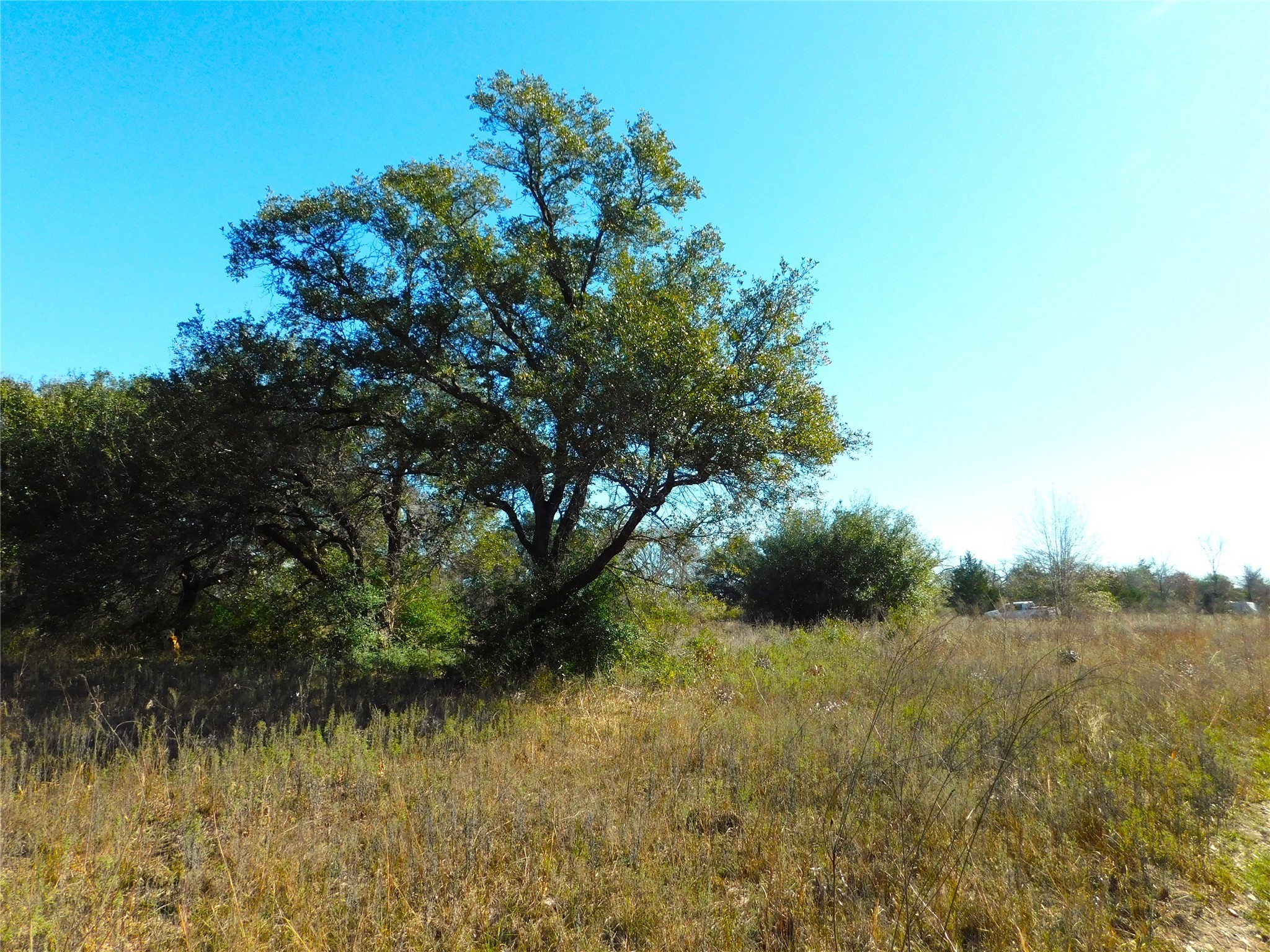 11145 Mt Falls School Road Washington, TX 77880 - Photo 10 of 11 a view of a lake view