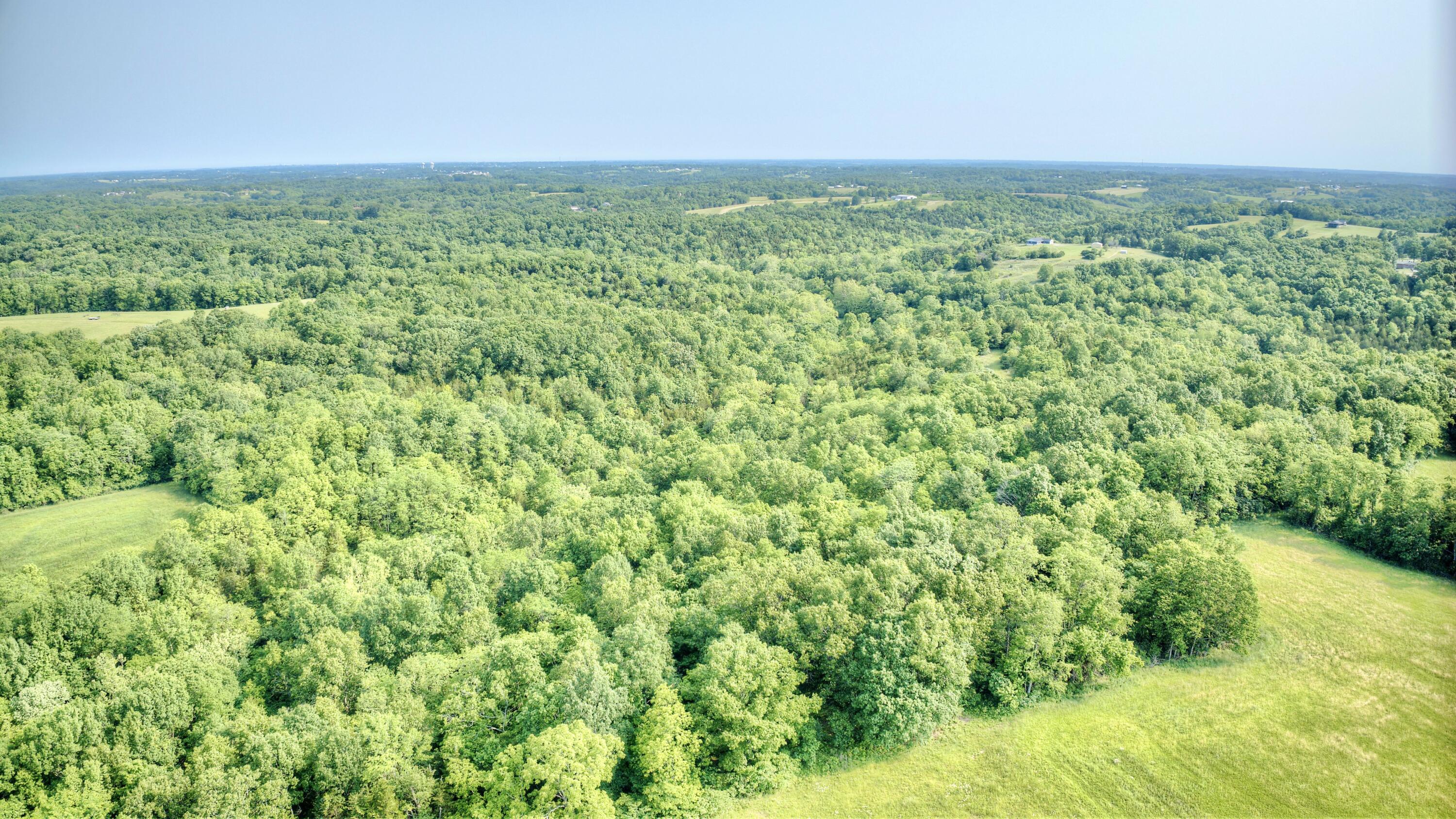 0 Peach Grove Road California, KY 41007 - Photo 17 of 22 16