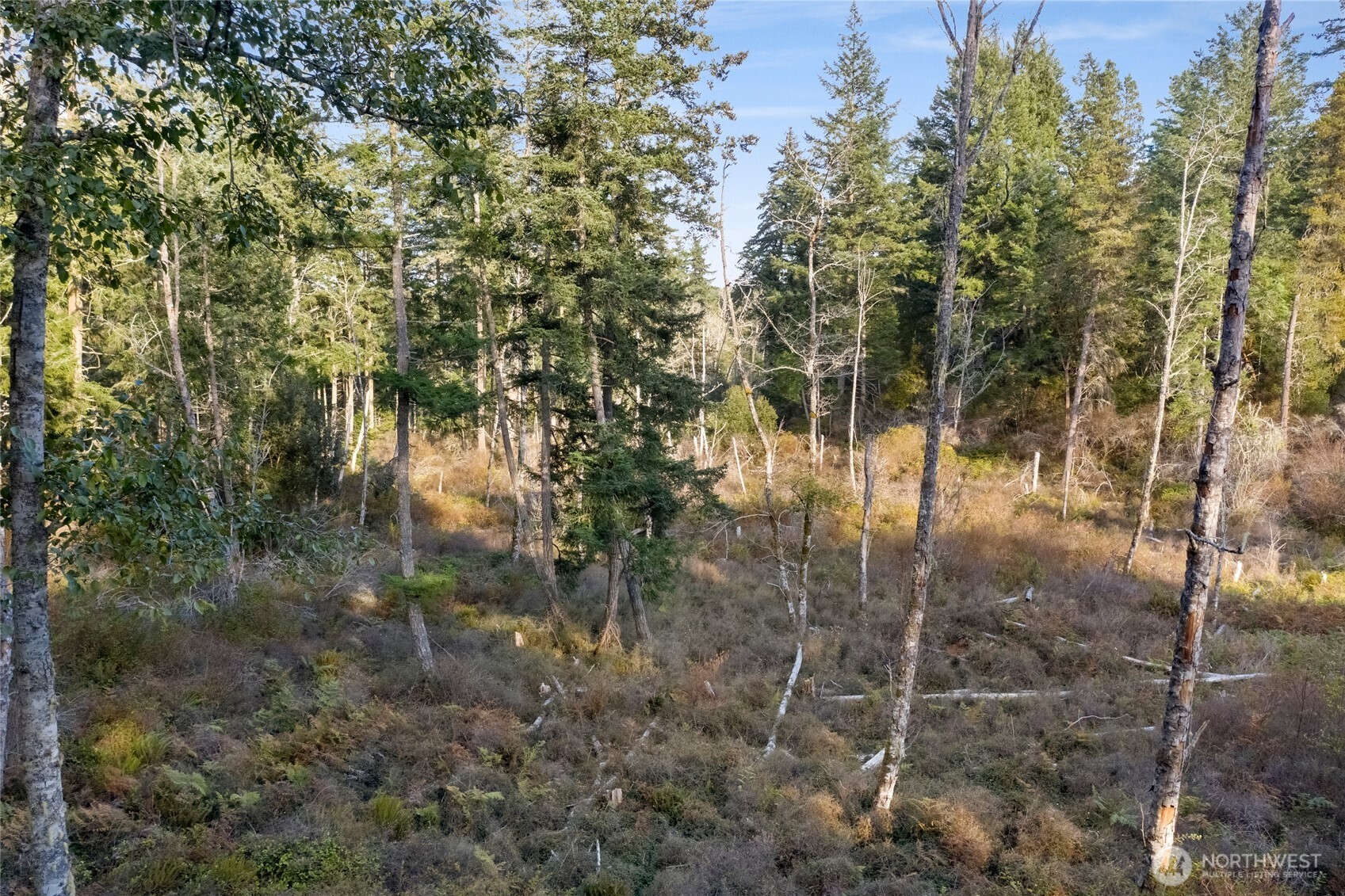 0 Prohaska Road Friday Harbor, WA 98250 - Photo 11 of 19 Gallery Image 11