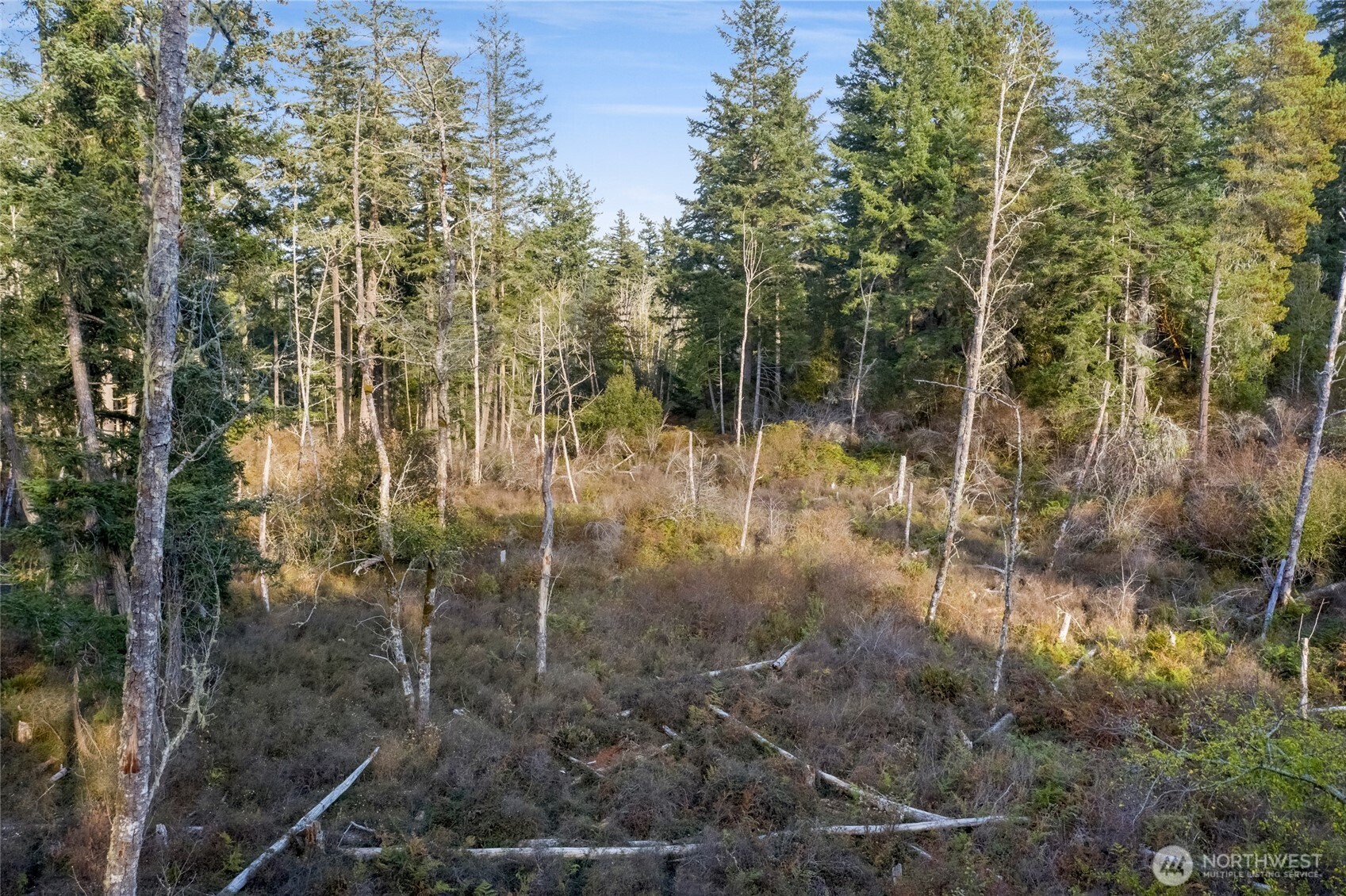0 Prohaska Road Friday Harbor, WA 98250 - Photo 12 of 19 Gallery Image 12
