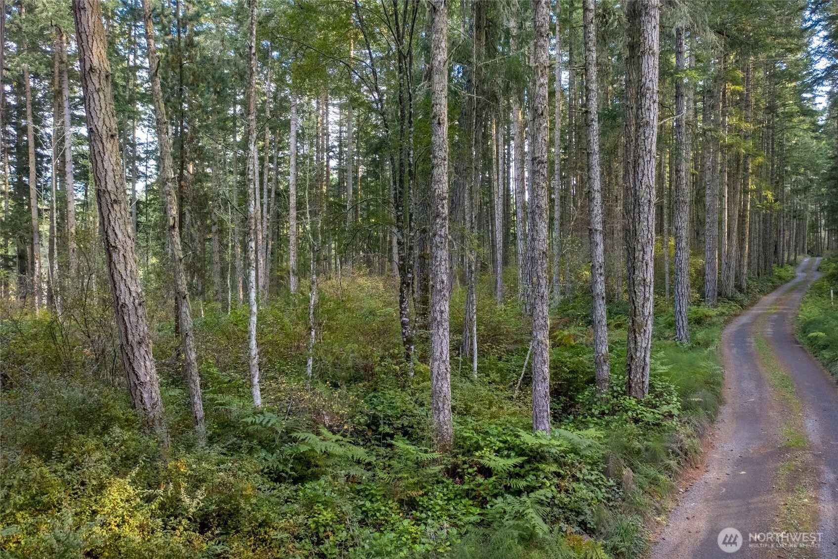 0 Prohaska Road Friday Harbor, WA 98250 - Photo 13 of 19 Gallery Image 13