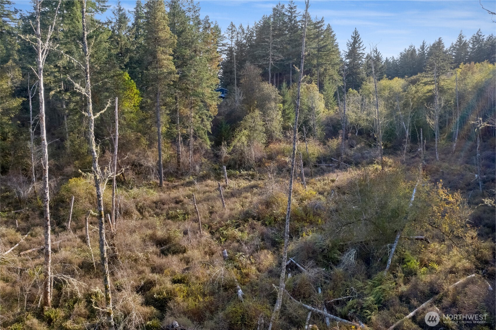 0 Prohaska Road Friday Harbor, WA 98250 - Photo 14 of 19 Gallery Image 14