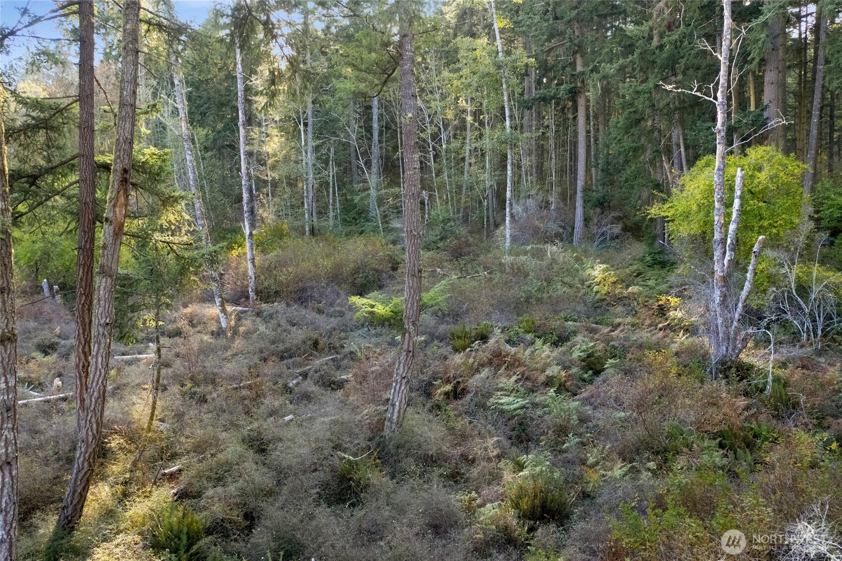 0 Prohaska Road Friday Harbor, WA 98250 - Photo 16 of 19 Gallery Image 16