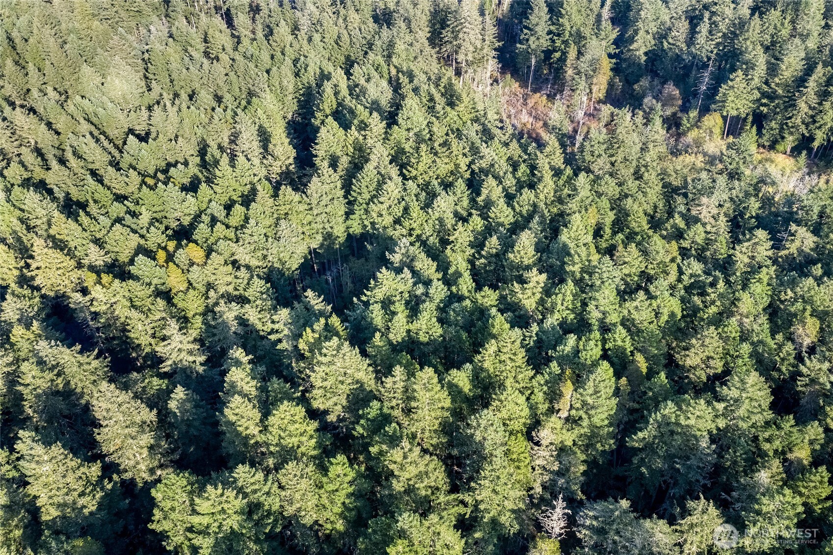 0 Prohaska Road Friday Harbor, WA 98250 - Photo 19 of 19 Gallery Image 19