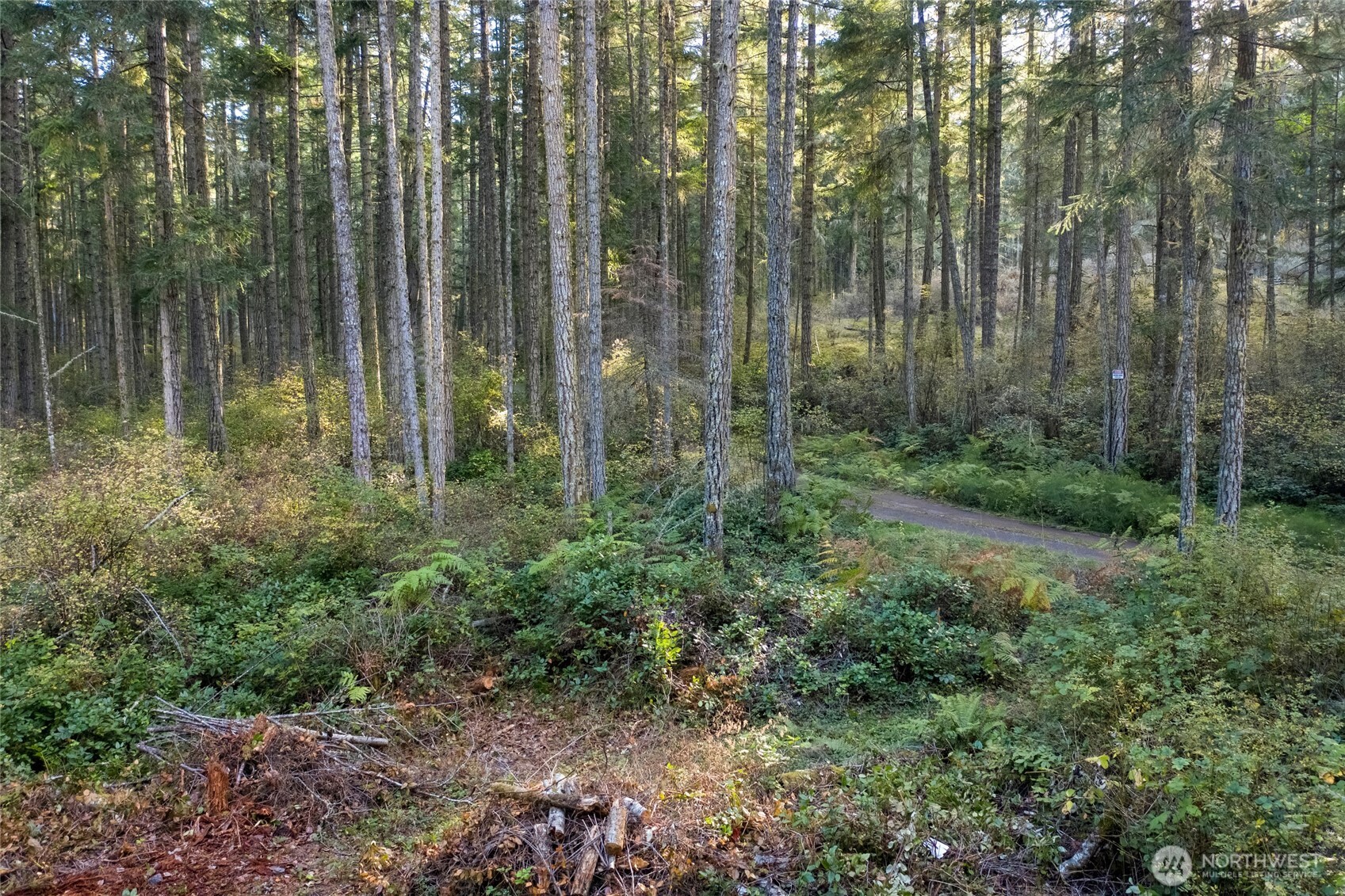 0 Prohaska Road Friday Harbor, WA 98250 - Photo 6 of 19 Gallery Image 6