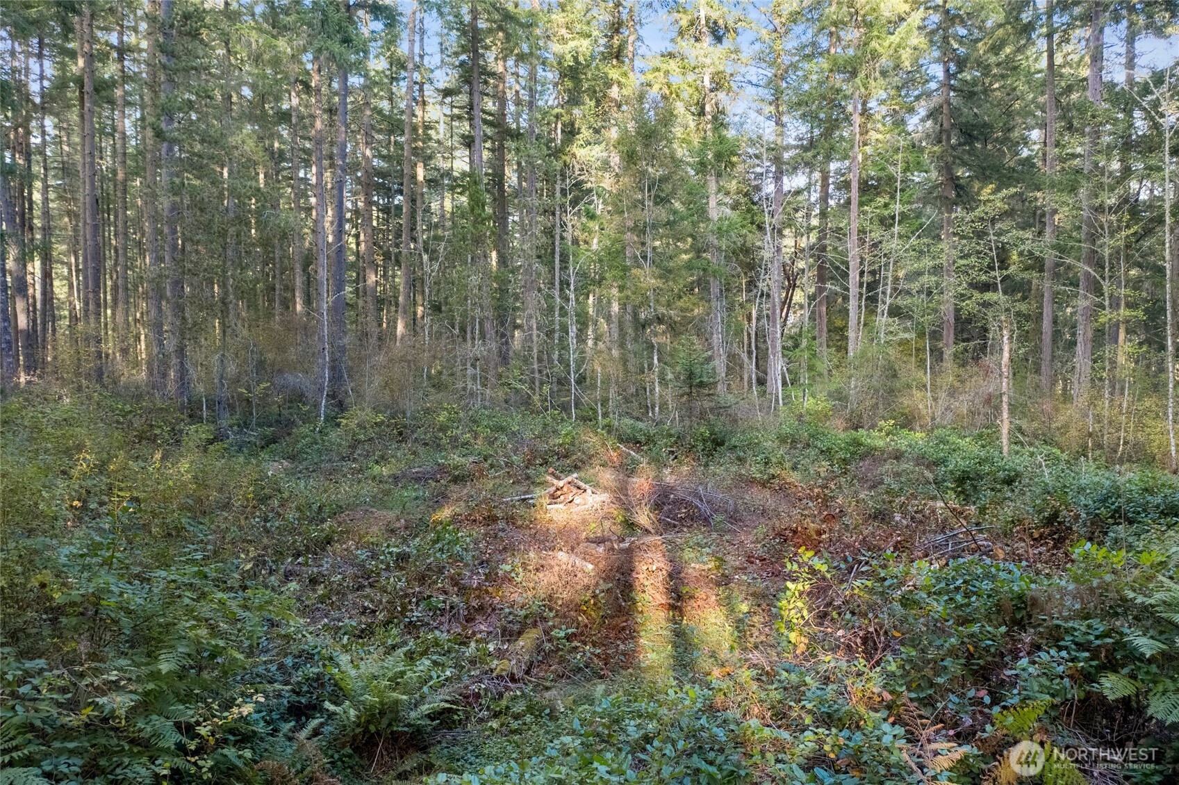 0 Prohaska Road Friday Harbor, WA 98250 - Photo 7 of 19 Gallery Image 7