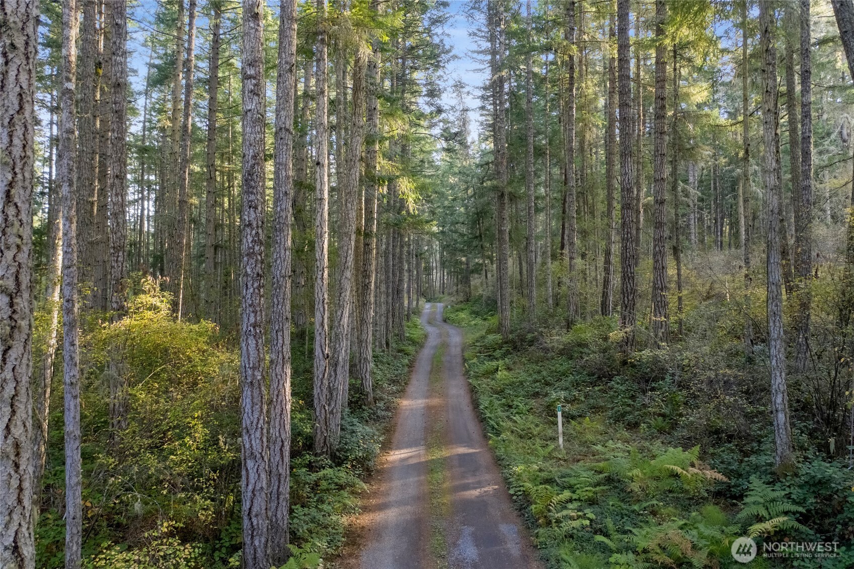0 Prohaska Road Friday Harbor, WA 98250 - Photo 9 of 19 Gallery Image 9