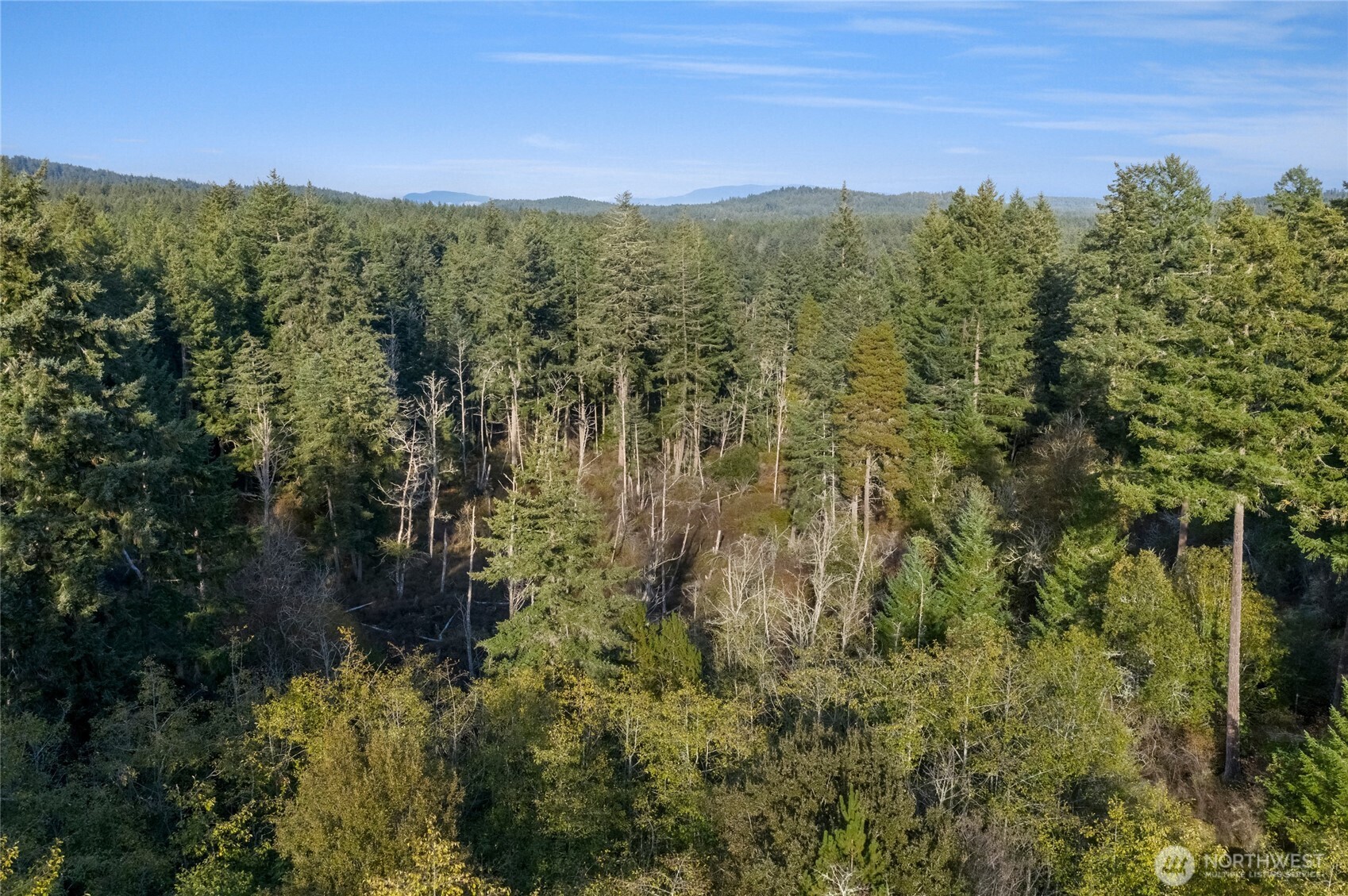0 Prohaska Road Friday Harbor, WA 98250 - Photo 10 of 19 Gallery Image 10