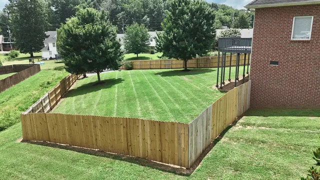 a view of a backyard