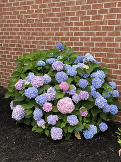 $550,000 | 104 Camden Court North, Hendersonville, TN 37075