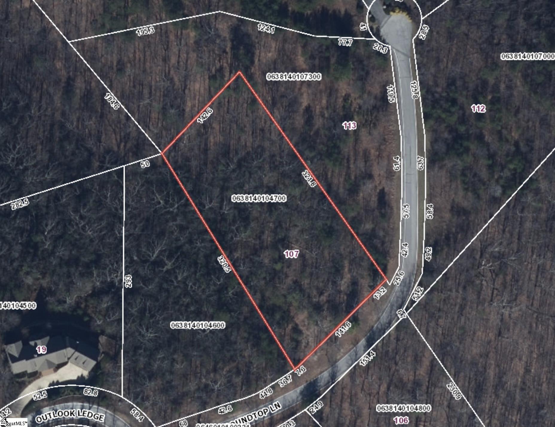 107 Round Top Lane Landrum, SC 29356 - Photo 6 of 6