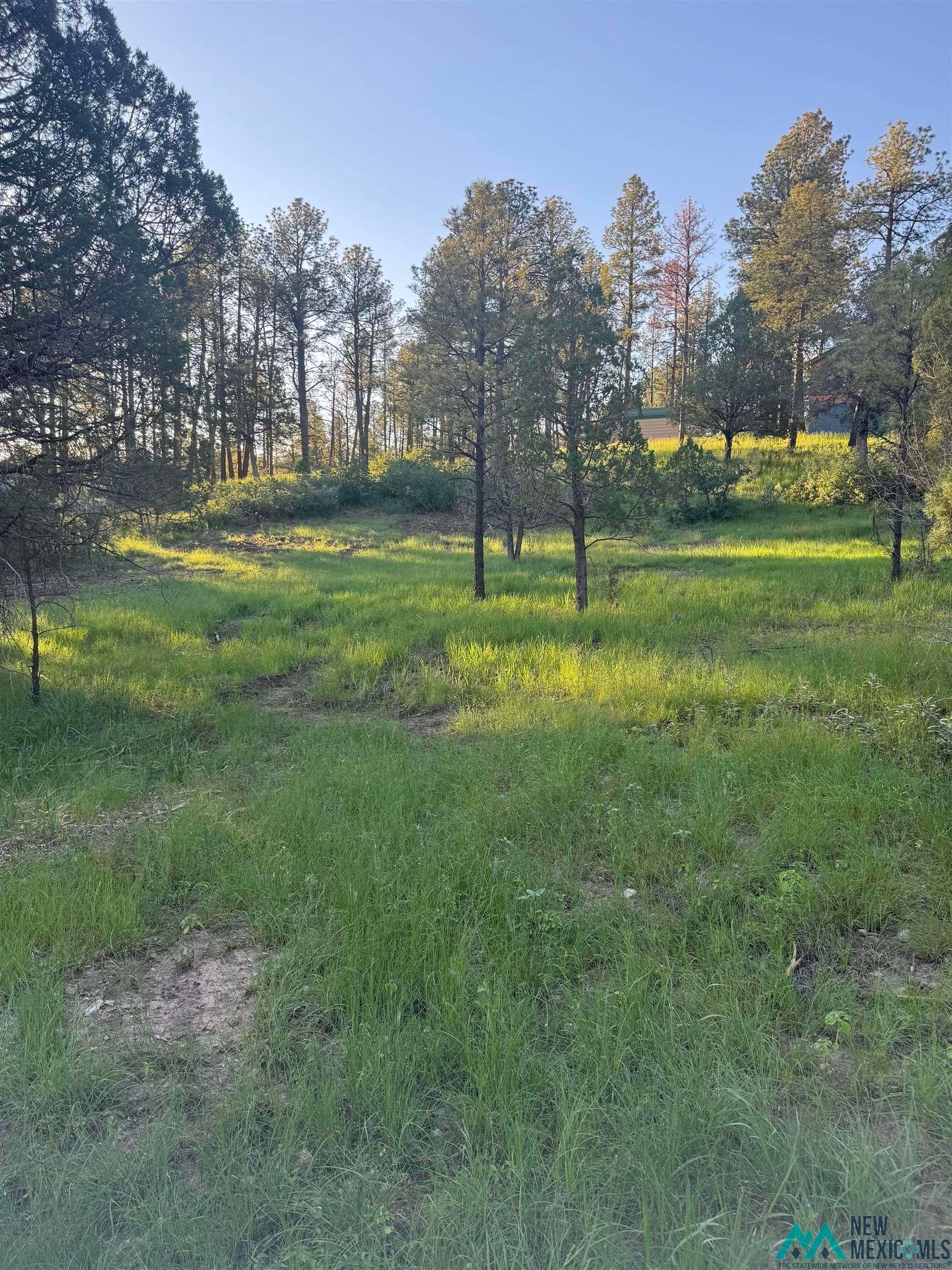 12 Rio Pinar Drive Timberon, NM 88350 - Photo 6 of 6