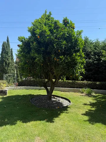 a view of a golf course with a lake