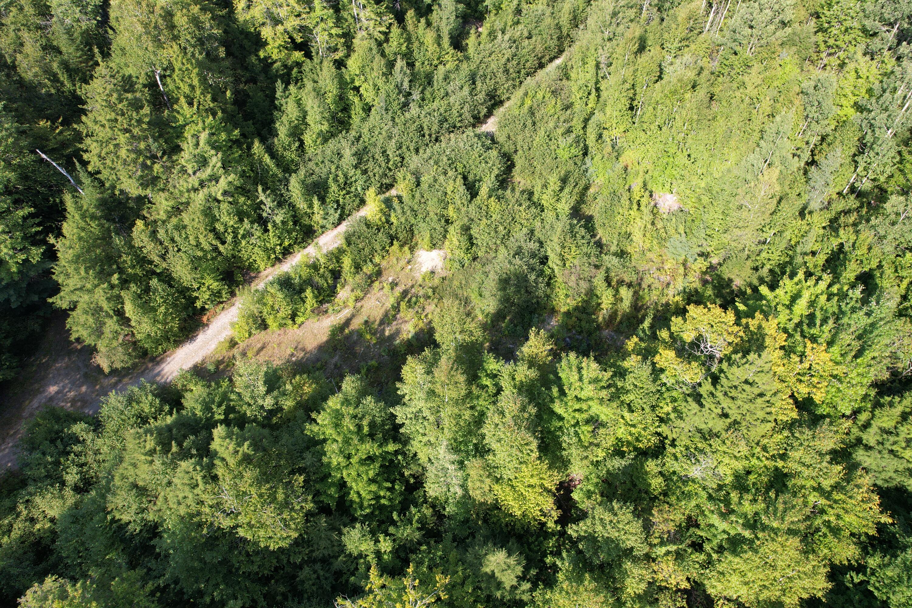 69 K Christmas Cove Road Crawford, ME 04694 - Photo 10 of 18 DJI_0031