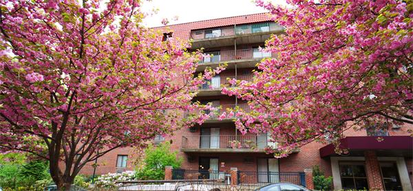 125 Pleasant Street, Unit 401 Brookline, MA 02446 - Photo 1 of 14 a front view of a building with a tree