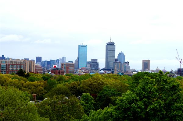 125 Pleasant Street, Unit 401 Brookline, MA 02446 - Photo 12 of 14 a view of a city with tall buildings