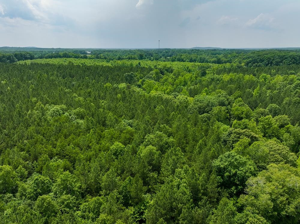 0 Mill Creek Road Roxboro, NC 27574 - Photo 46 of 54 Photo 46