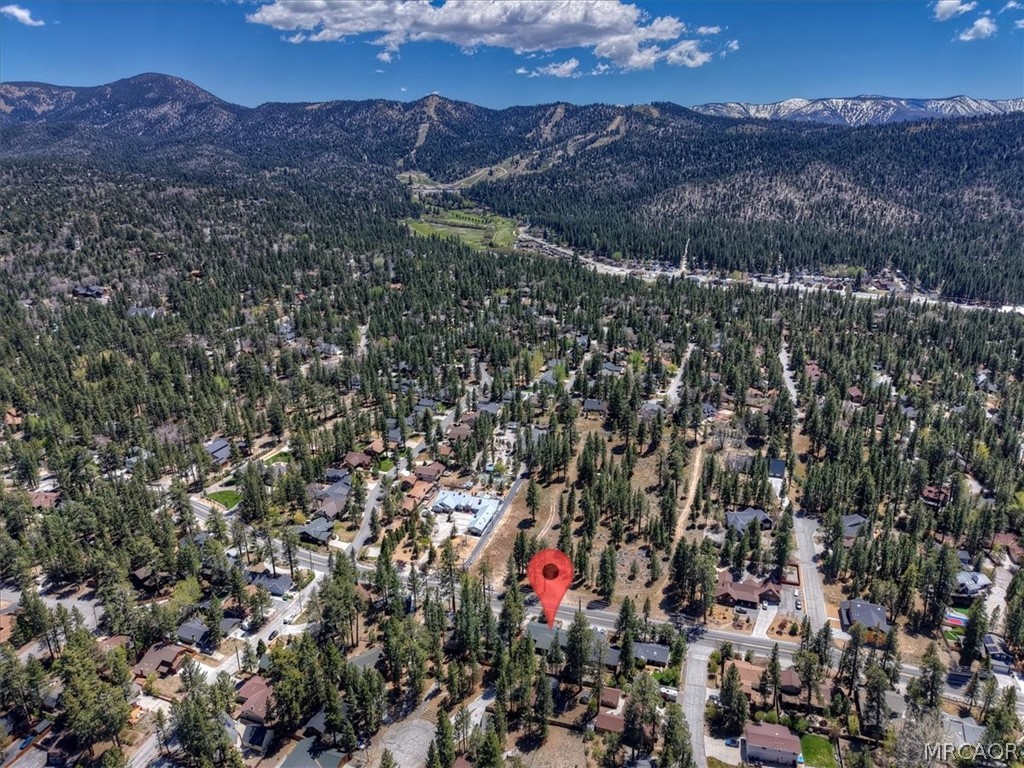 42698 Fox Farm Road Big Bear Lake, CA 92315 - Photo 43 of 46