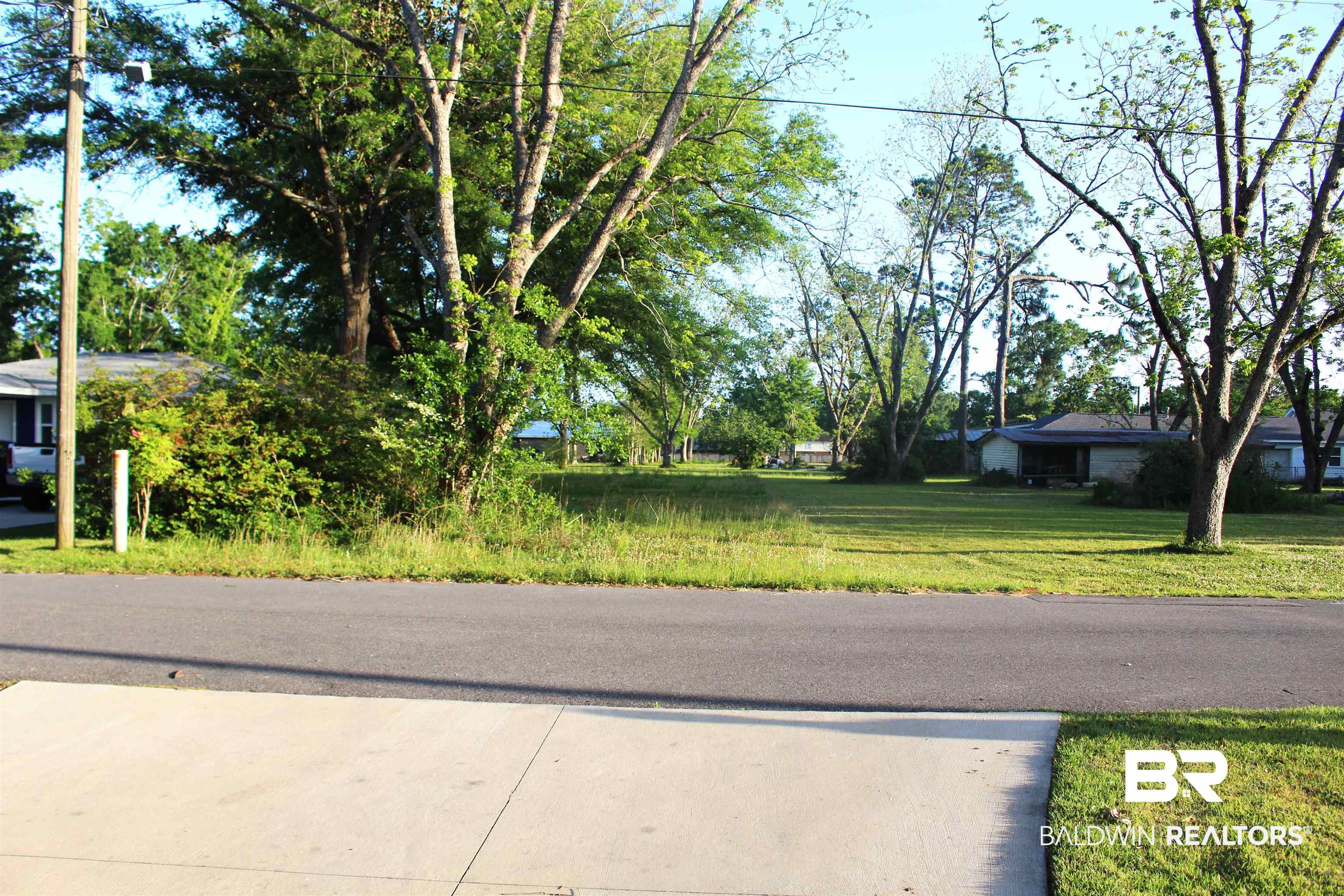 Chestnut Street Elberta, AL 36530 - Photo 1 of 3