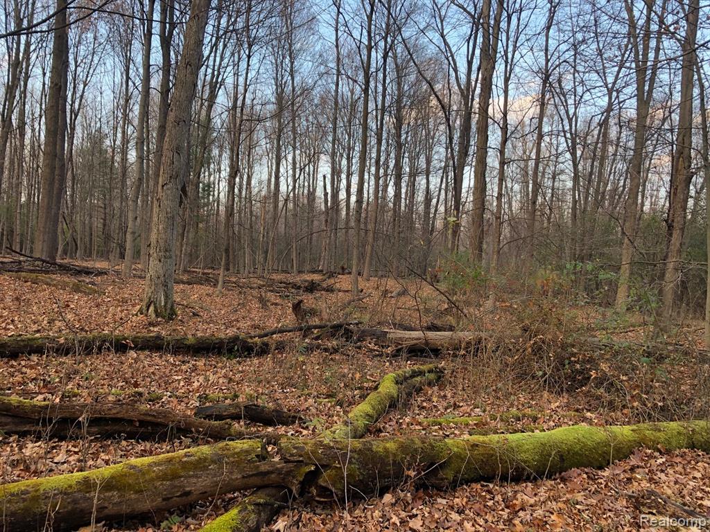 0 East Brocker Road Metamora, MI 48455 - Photo 11 of 25