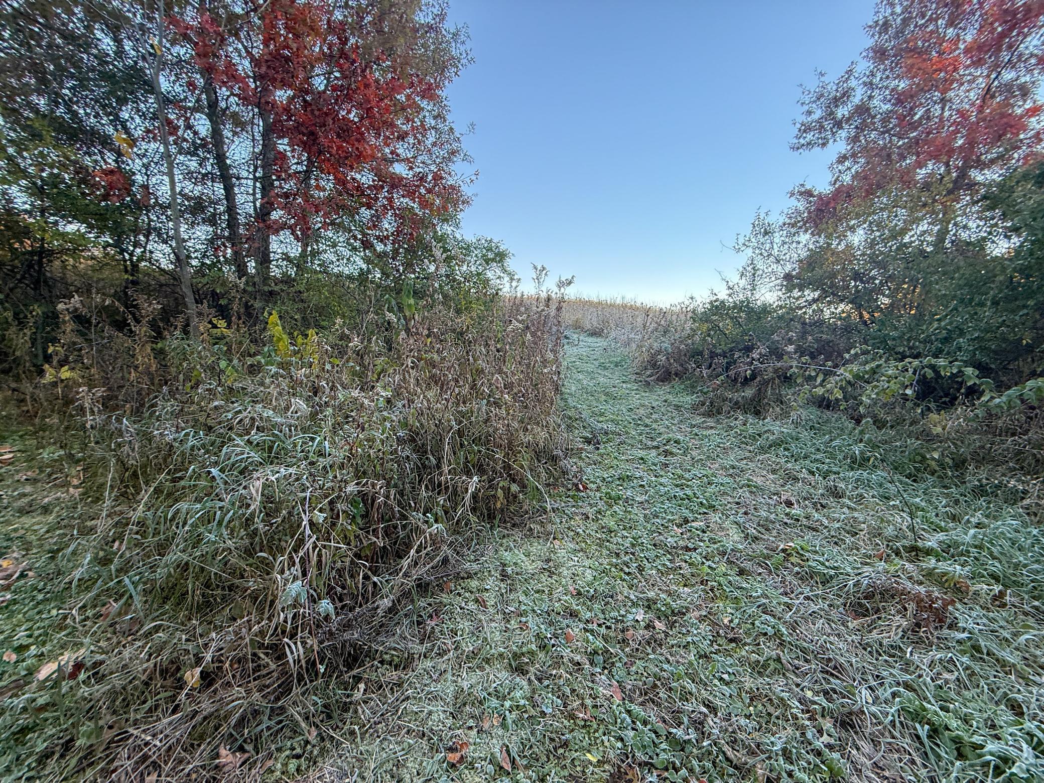 6302 20th Avenue Southeast Rochester, MN 55904 - Photo 101 of 126