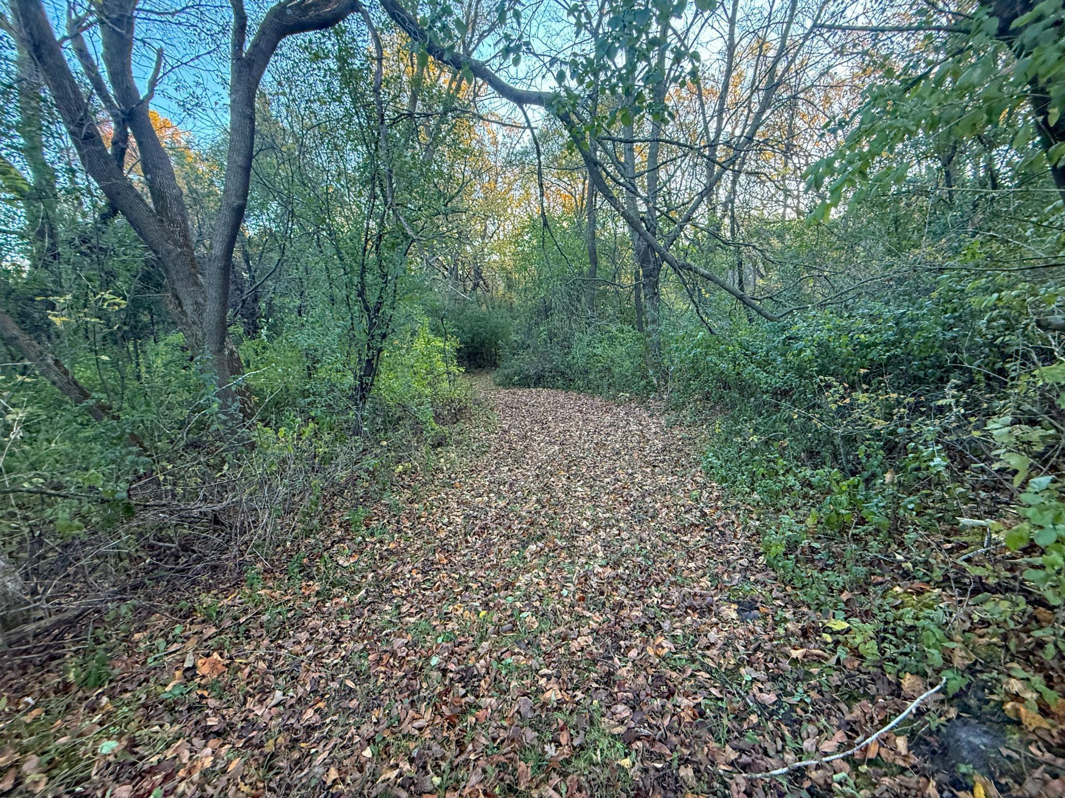 6302 20th Avenue Southeast Rochester, MN 55904 - Photo 103 of 126