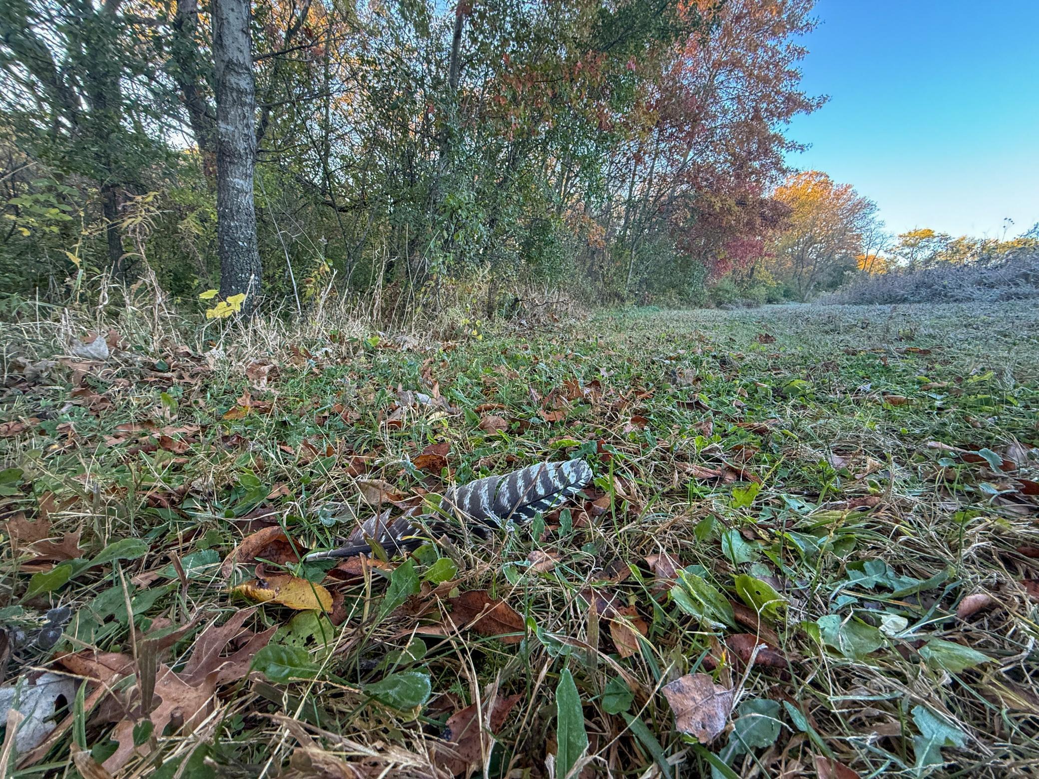 6302 20th Avenue Southeast Rochester, MN 55904 - Photo 104 of 126