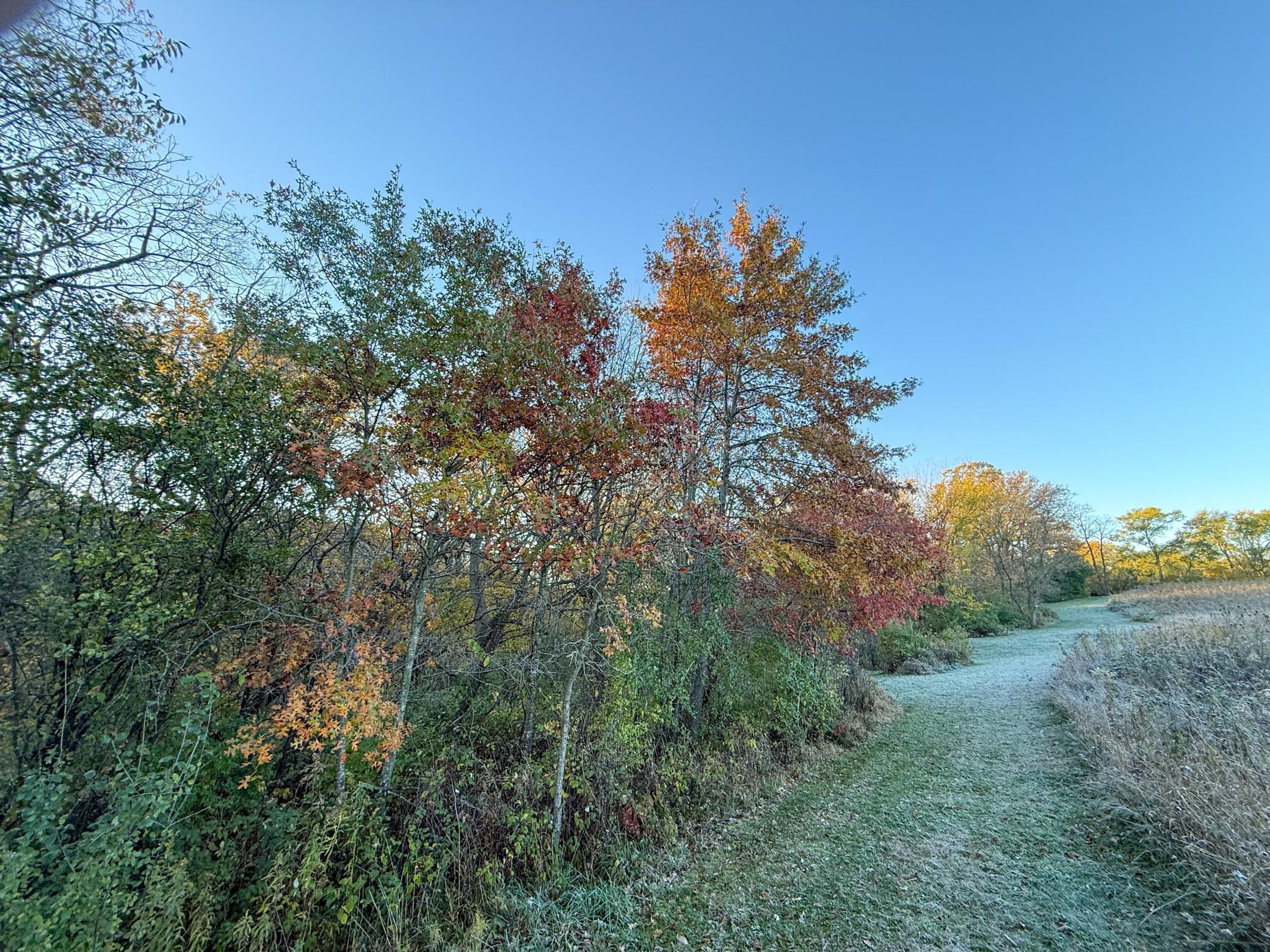 6302 20th Avenue Southeast Rochester, MN 55904 - Photo 105 of 126